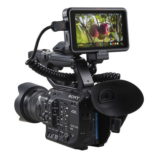 ATOMOS Ninja V 5