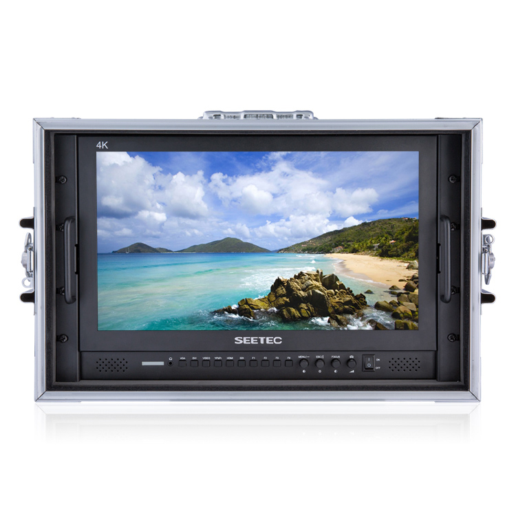 Seetec P173-9HSD-CO 17.3
