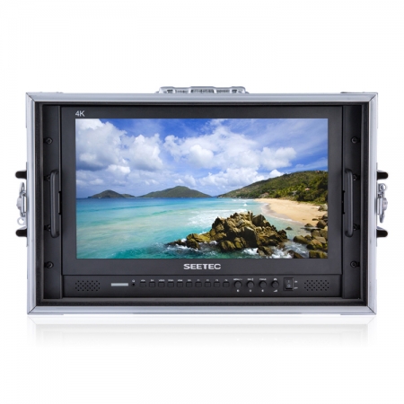 Seetec P173-9HSD-CO 17.3