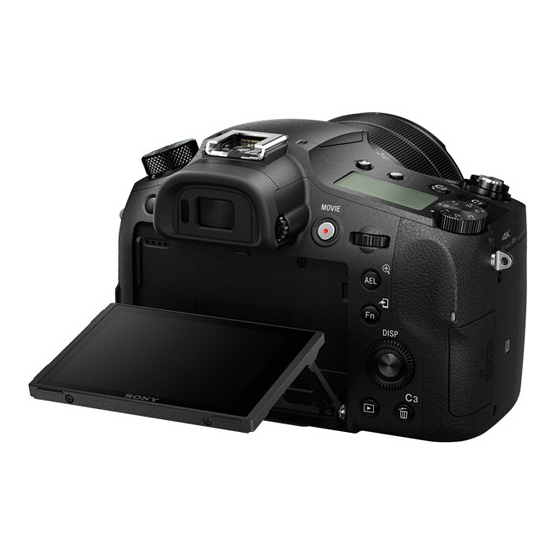 Sony DSC-RX10 III - 2