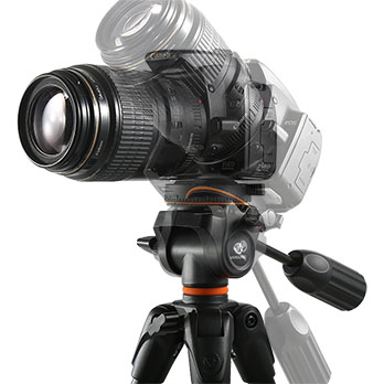 Vanguard Espod CX 203AP - 3
